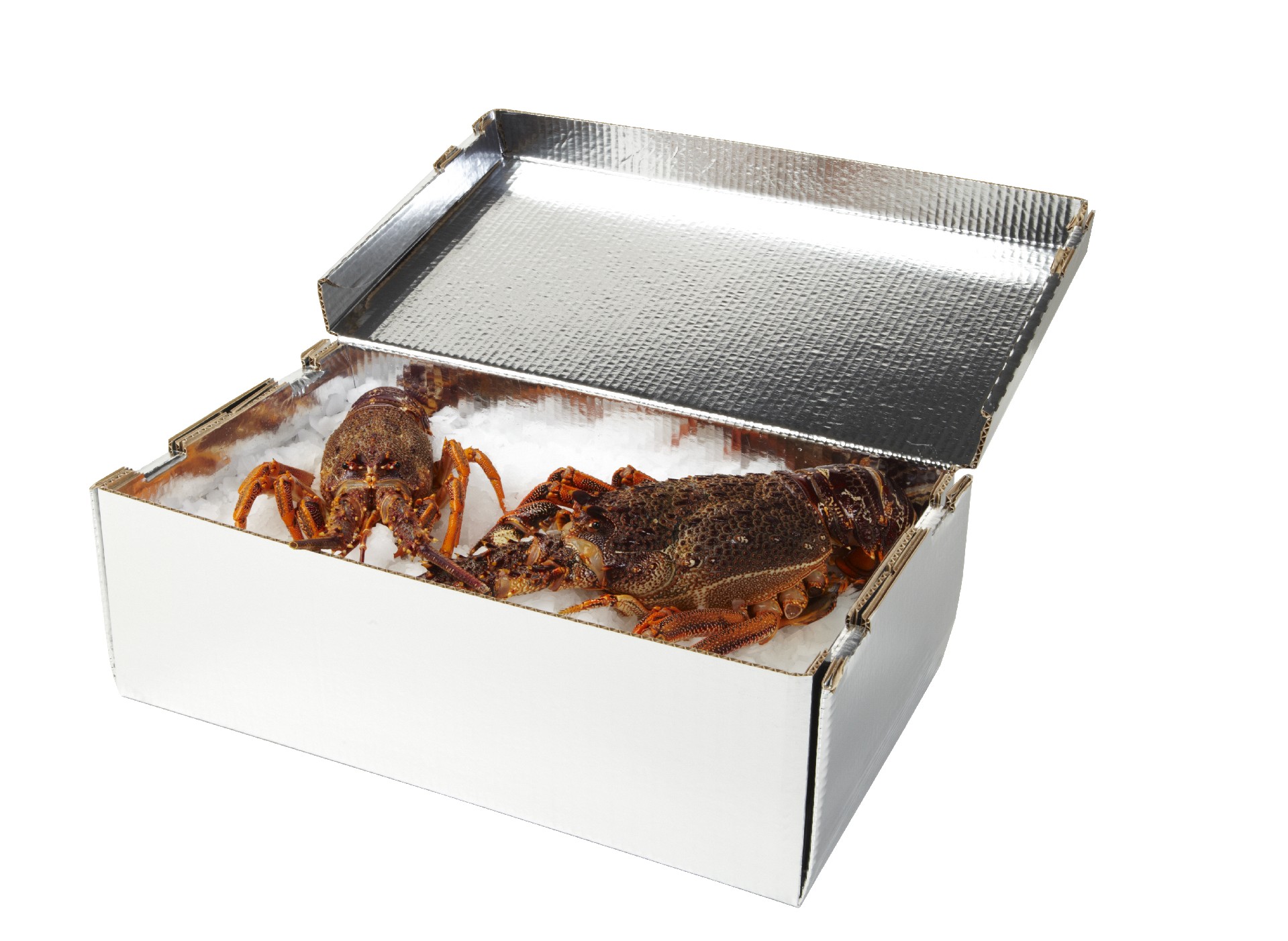 Lobster_Box_Propped CCut.jpg