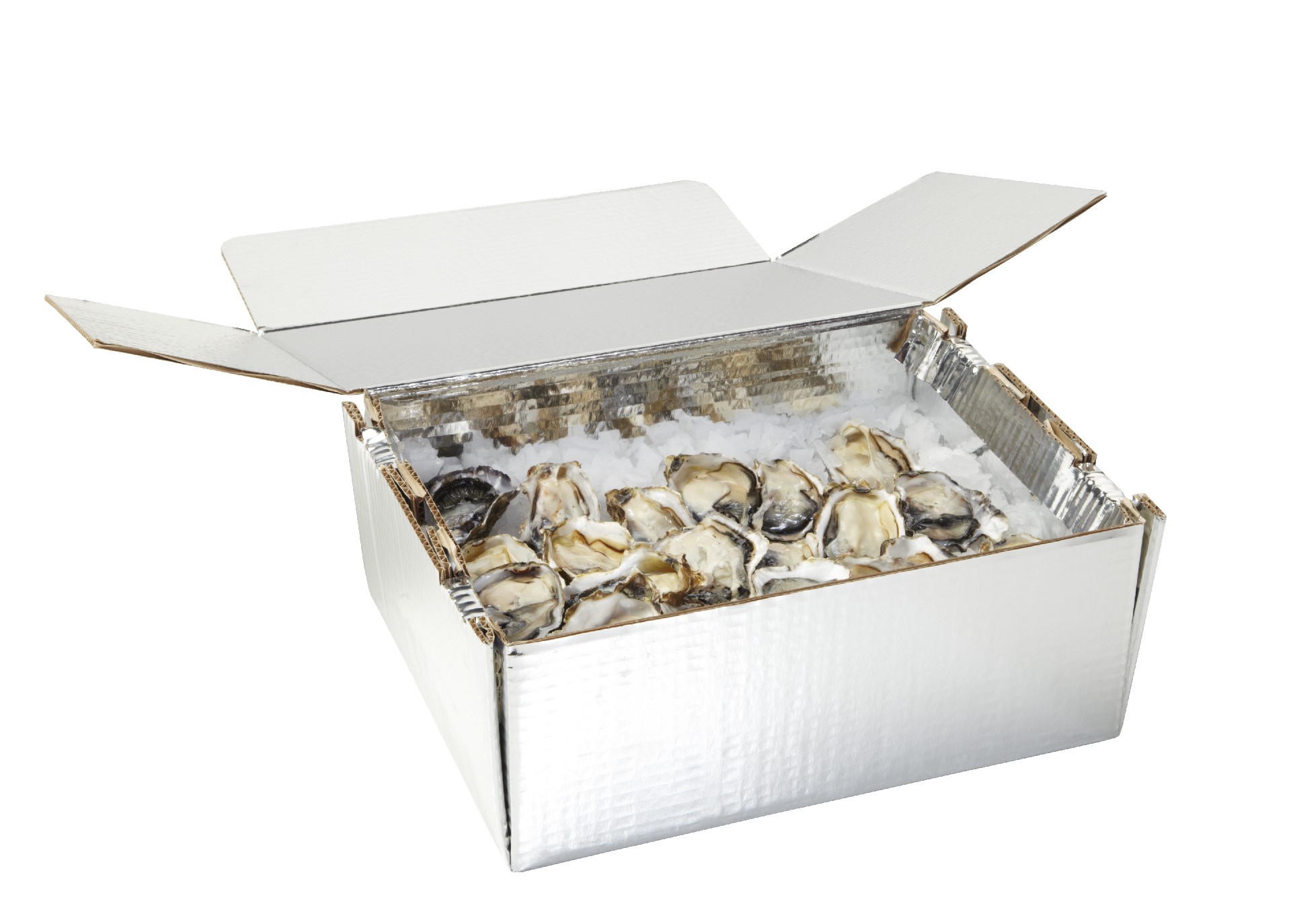 Oyster_Box_Propped CCut.jpg